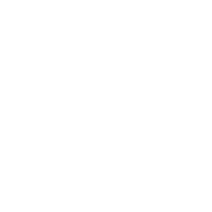 flutter_local_authentication preview